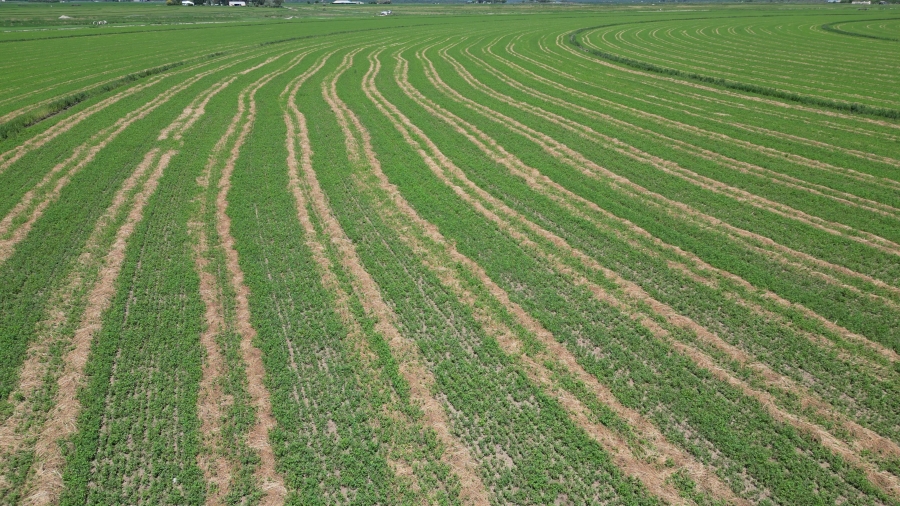 0 Bedroom Property for Sale in Douglas Rural Northern Cape